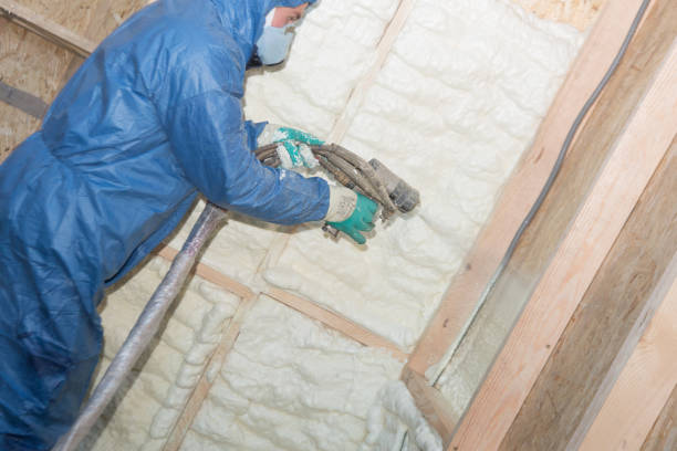 Best Eco-Friendly or Green Insulation Solutions  in La Grange, KY